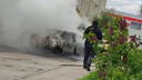 В Самаре в Крутых Ключах сгорели два авто. Видео