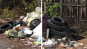 «А крысы у нас красивые!» Жительница Новосибирска обнаружила заросшую мусором помойку — видео с грызунами