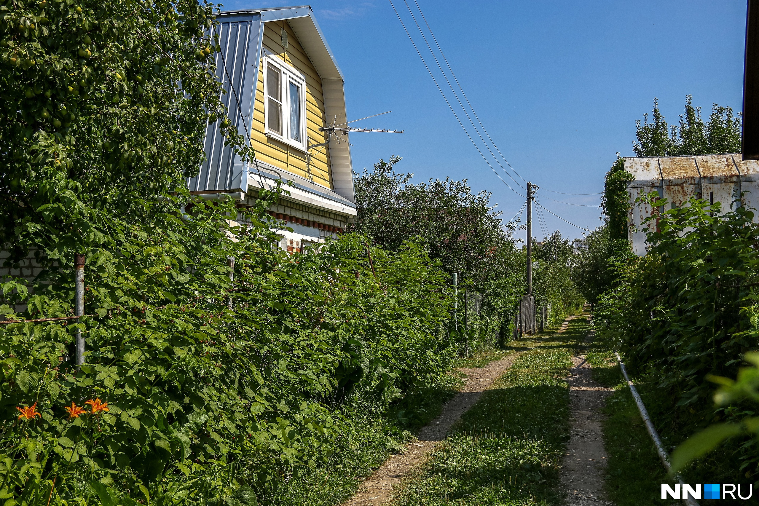 Карта вспышек на солнце