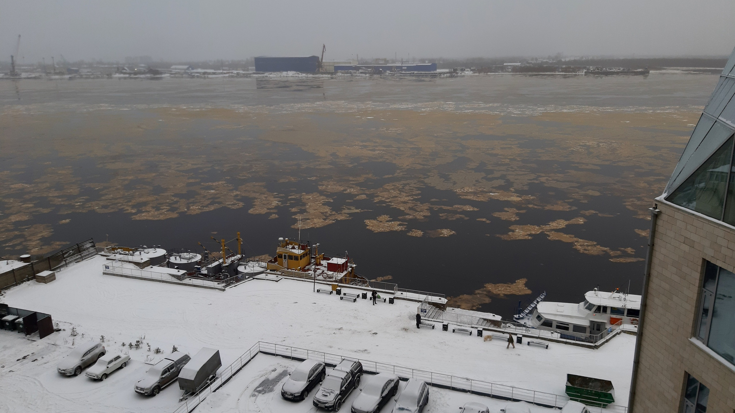 В Архангельске заметили рыжий ледоход: что происходит на реке и опасно ли это