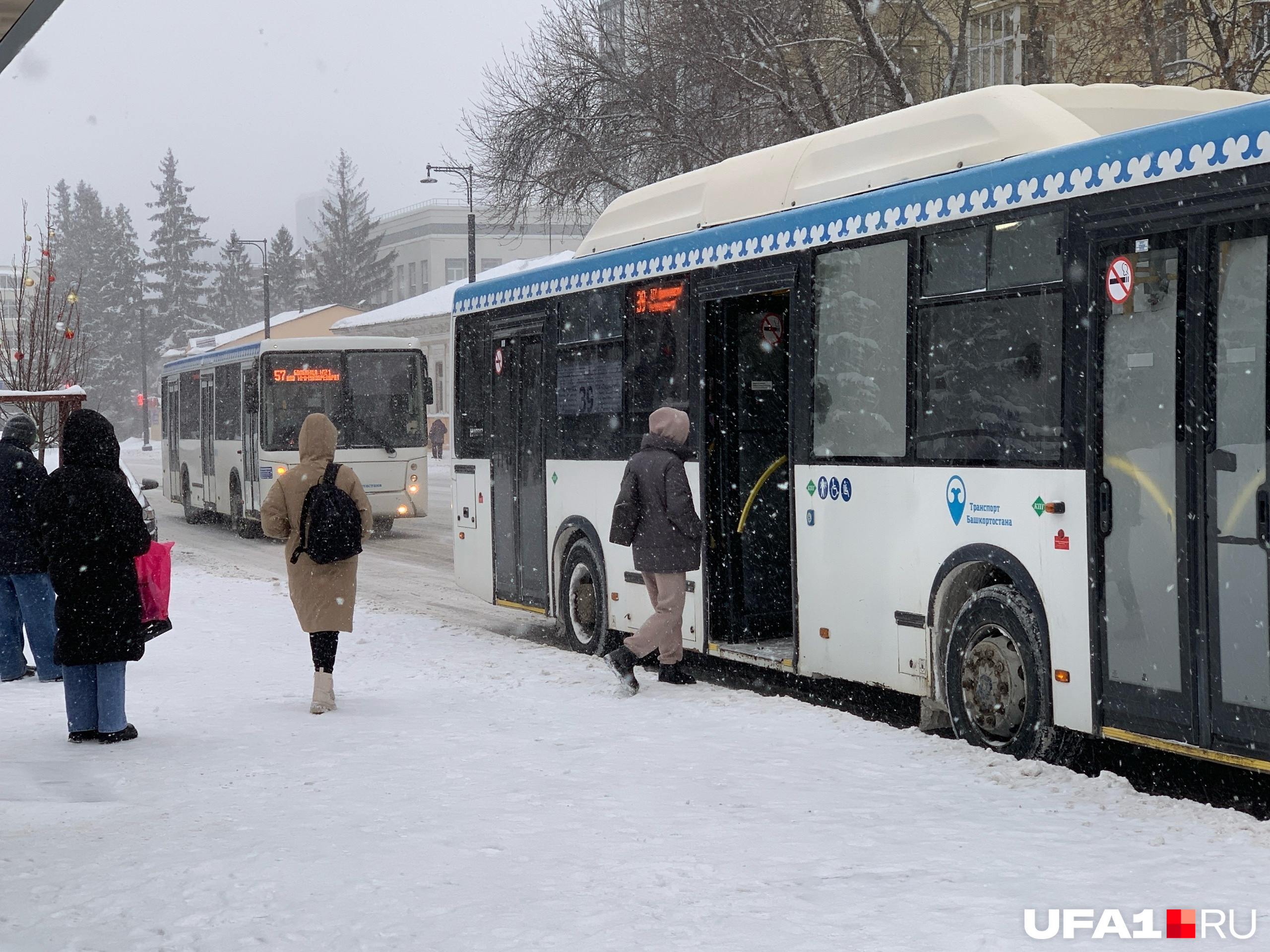 Автобусы ходят по графику