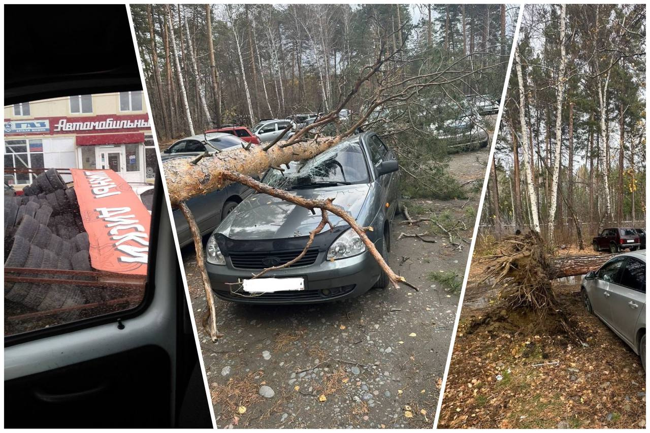 В Барнауле сильный ветер целый день разрушает город — подборка фото и видео  последствий урагана в Алтайском крае - 23 октября 2023 - ngs22.ru