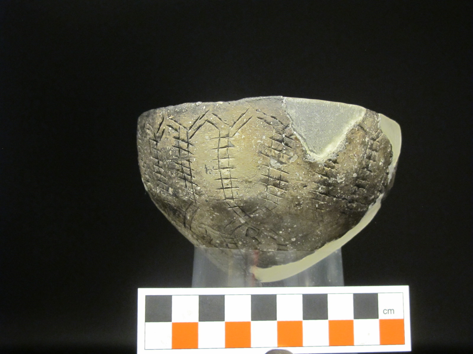 Фото предоставлено Северо-Западной археологической экспедицией Государственного Эрмитажа