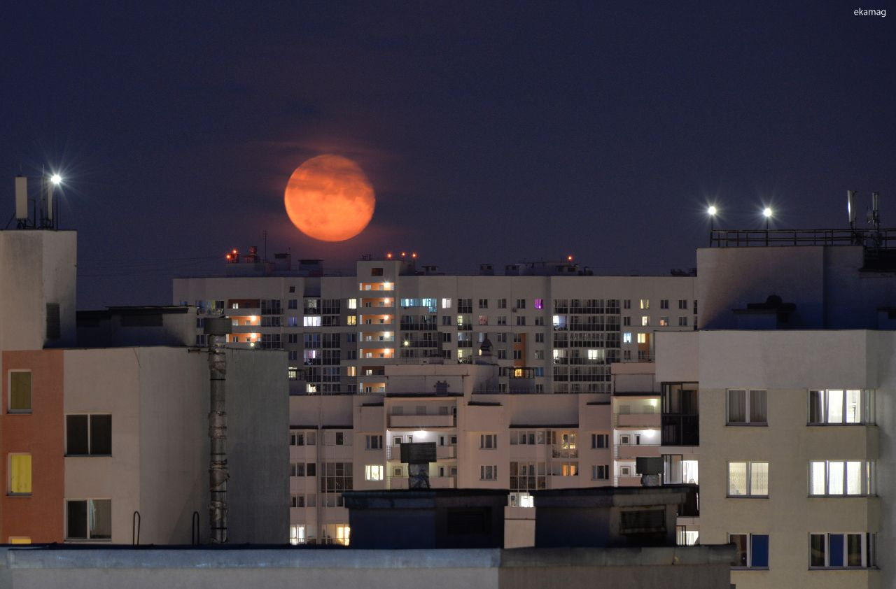 «Вживую — гораздо круче». Рассматриваем огромную и очень яркую луну над Екатеринбургом