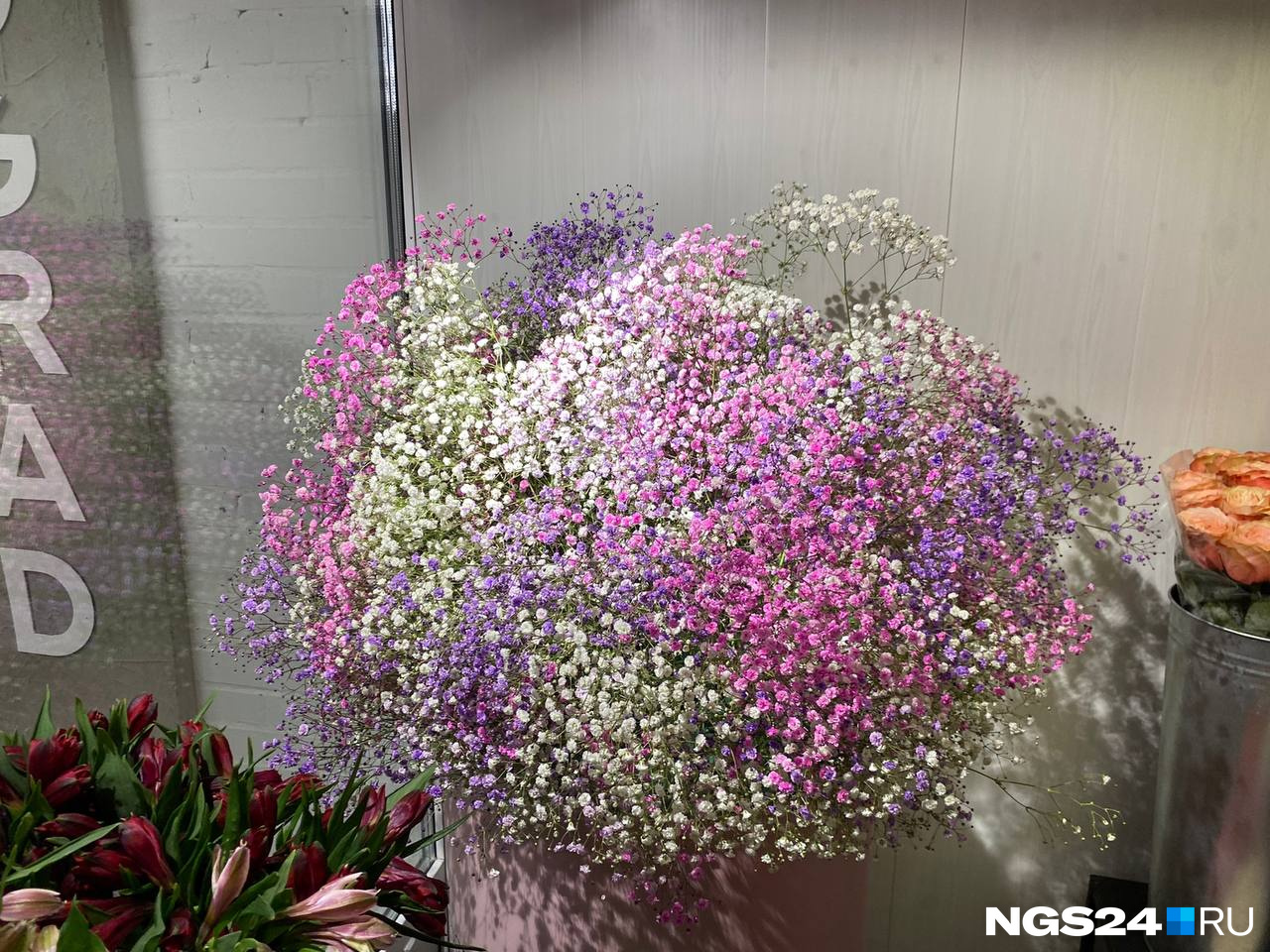 Красноярцы охотно скупают гипсофилы Красноярцы охотно скупают гипсофилы