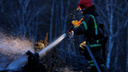 Пожар разгорелся на сетях ДРСК, пламя ликвидировали — по предварительным данным, обесточено более 400 домов во Владивостоке