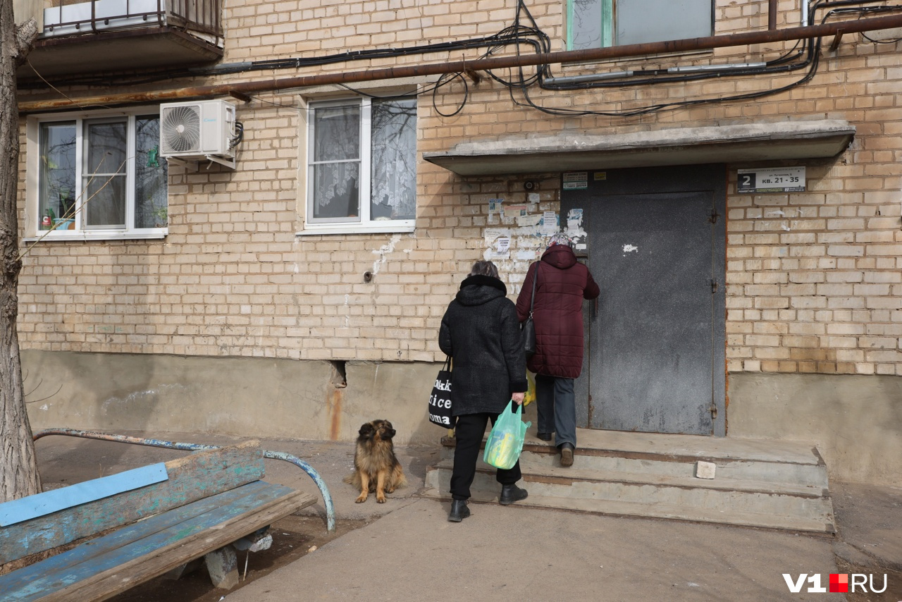 Слева от подъезда — окна той самой квартиры, где произошло ЧП Слева от подъезда — окна той самой квартиры, где произошло ЧП