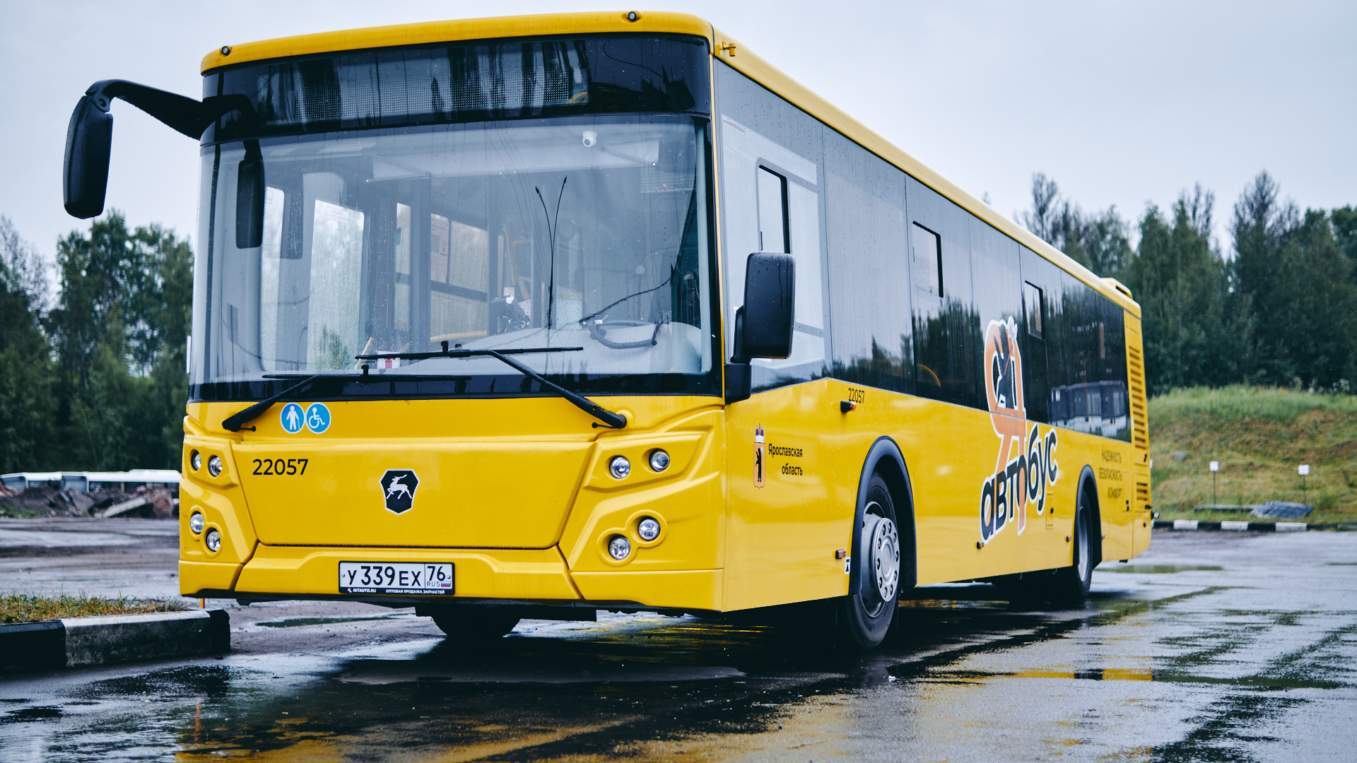 44 автобус желтые пески расписание. Автобус желтый. Автобус большой. 205 Желтый автобус. Большие автобусы марки.