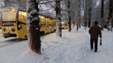 В Ярославле случился трамвайный коллапс: почему встал электротранспорт в разных районах города