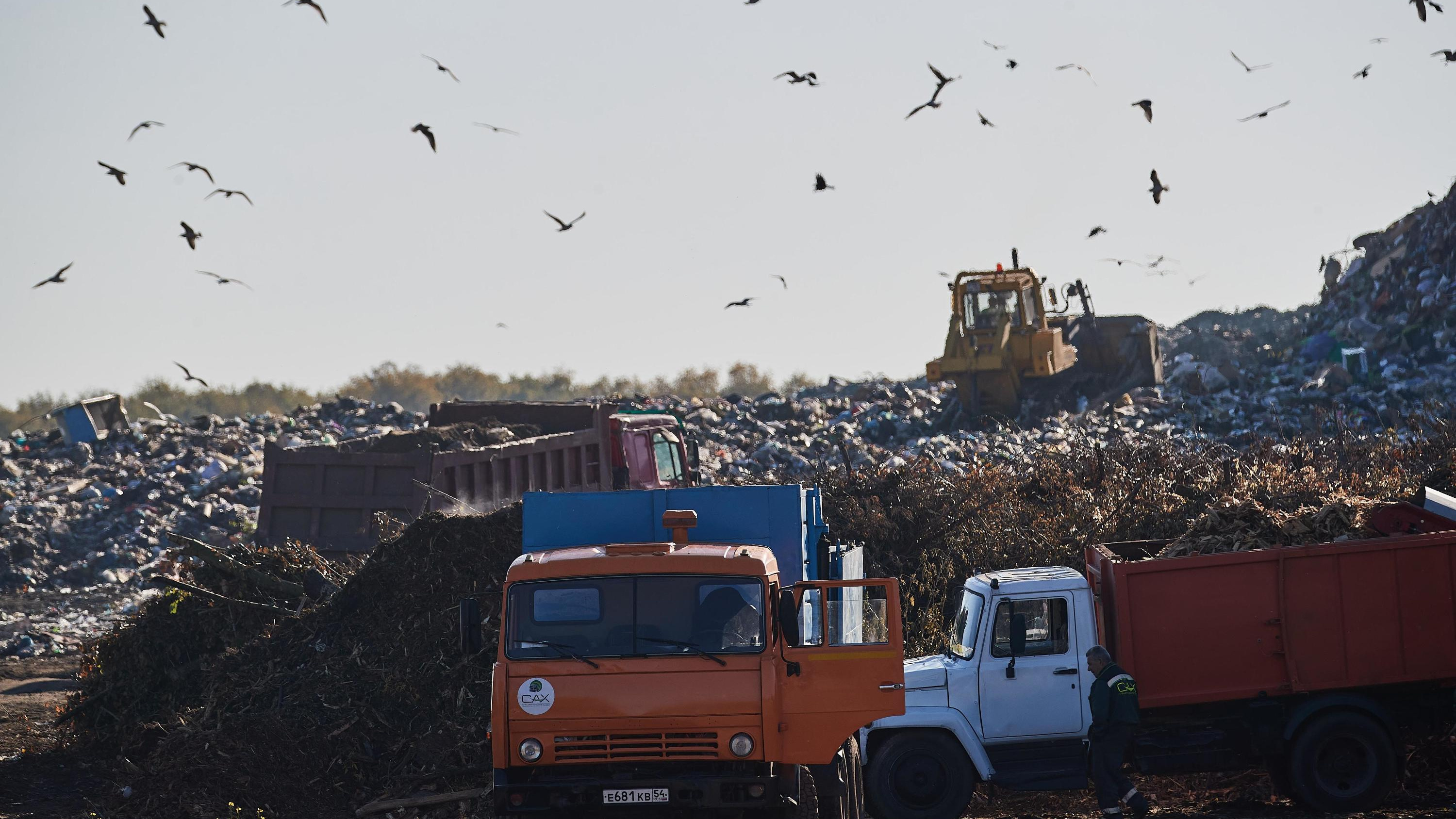 Власти Подмосковья купят гору мусора за один рубль? Как лихорадит рынок отходов и чем это грозит экологии