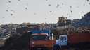 РЭО вложит больше <nobr class="_">3 миллиардов</nobr> рублей в мусорный полигон возле Верх-Тулы в Новосибирской области