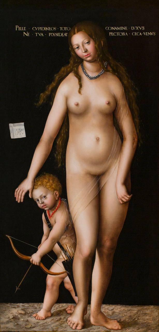 «Венера и Амур» Лукаса Кранаха Старшего вернулась в зал искусства Германии XV–XVIII веков Эрмитажа после реставрации