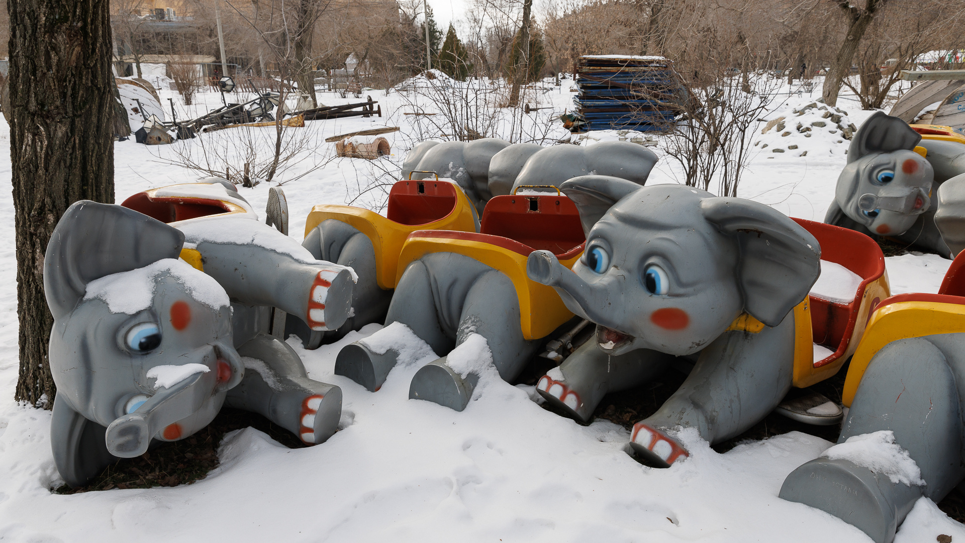 Кажется, весело только «слоникам»: итоги снежной недели в объективе фотографа