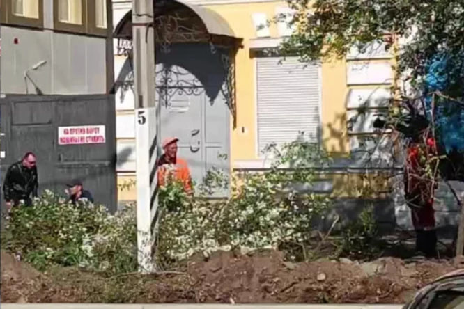 14 растений пришлось вырубить ради строительства парковки на Журавлева в Чите