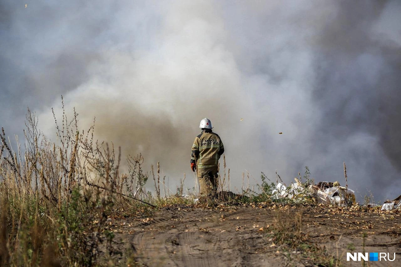Нижегородскую область накрыло сразу несколько лесных пожаров: видео