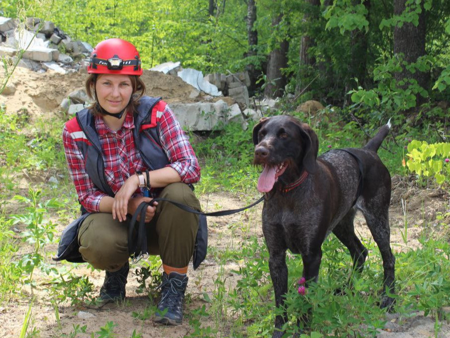 Собака-спасатель пропала в Ленобласти. Нашедшему обещают 100 тысяч рублей