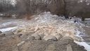 Вода на глазах прибывает: паводком в Волгоградской области топит мосты и дороги