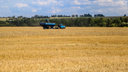 Цены на хлеб выросли еще до выхода России из зерновой сделки. Эксперты — о проблемах отрасли и инфляции