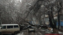 Мощный снегопад обрушился на север Ростовской области — дома без света и воды, упали деревья