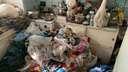 Новосибирцы обвинили соседа в накоплении мусора. Как в доме в центре борются с нашествием тараканов — ответ мэрии