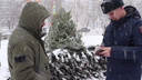 В Челябинске на елочных базарах мигрантам с российским гражданством вручили повестки в военкомат
