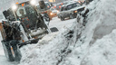 Снег и штормовой ветер будут свирепствовать в Приморье два дня: синоптики дали точный прогноз