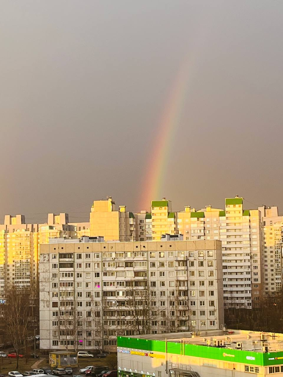 Не только серый в палитре Петербурга. Читатели «Фонтанки» рады первой радуге в этом году