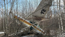 «Взлетел и ушел в лес»: на борту самолета, который упал в Новосибирске, был один человек