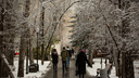 Мокрый снег и резкое похолодание: что ждет Новосибирск на следующей неделе — изучаем сервисы