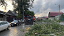 Поваленные деревья и оборванные провода: на Новосибирск обрушился ураган