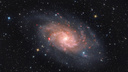 Галактику в созвездии Треугольник снял новосибирский астрофотограф — она находится в 2,8 млн световых лет от Земли