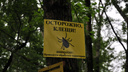 Более 15 тысяч человек пострадали от укуса клещей с начала сезона в Новосибирской области