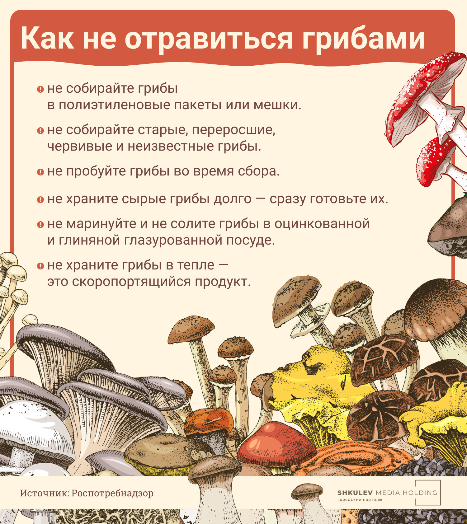 Соблюдайте эти шесть элементарных правил, и вы наверняка не отравитесь грибами