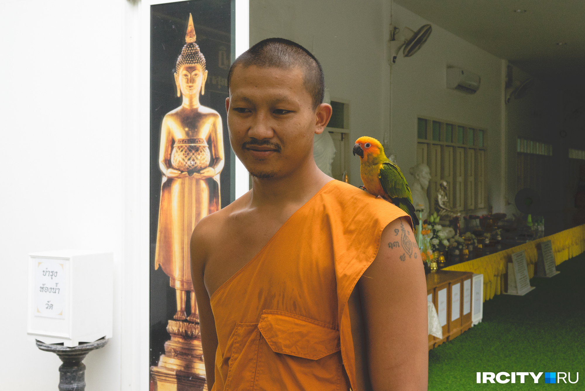 Буддистские монахи в Таиланде пользуются большим уважением и почетом. По всей видимости, даже у животных