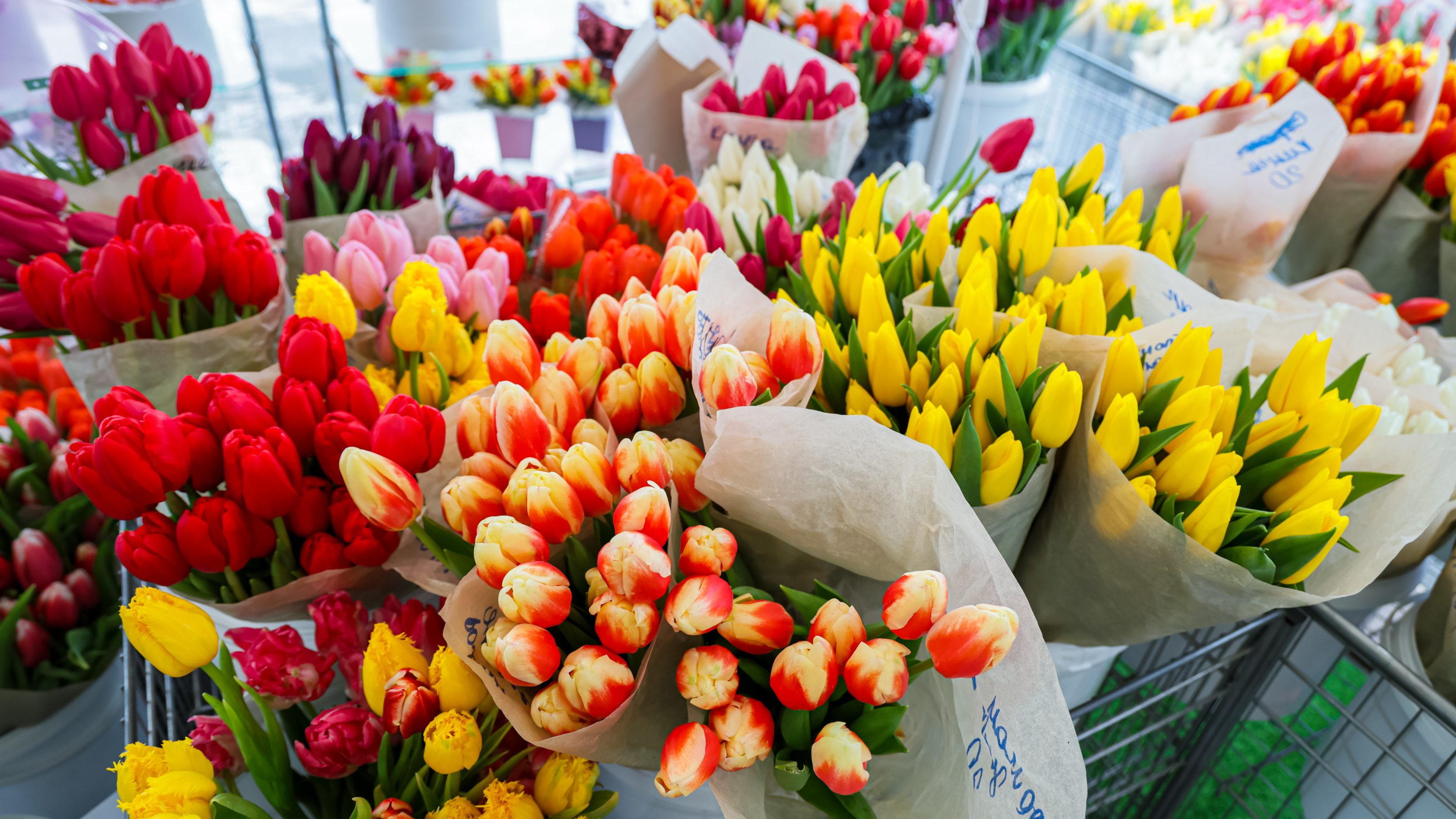 «Берут по 90 штук за раз»: смотрим, за сколько продают цветы накануне 8 марта в Красноярске