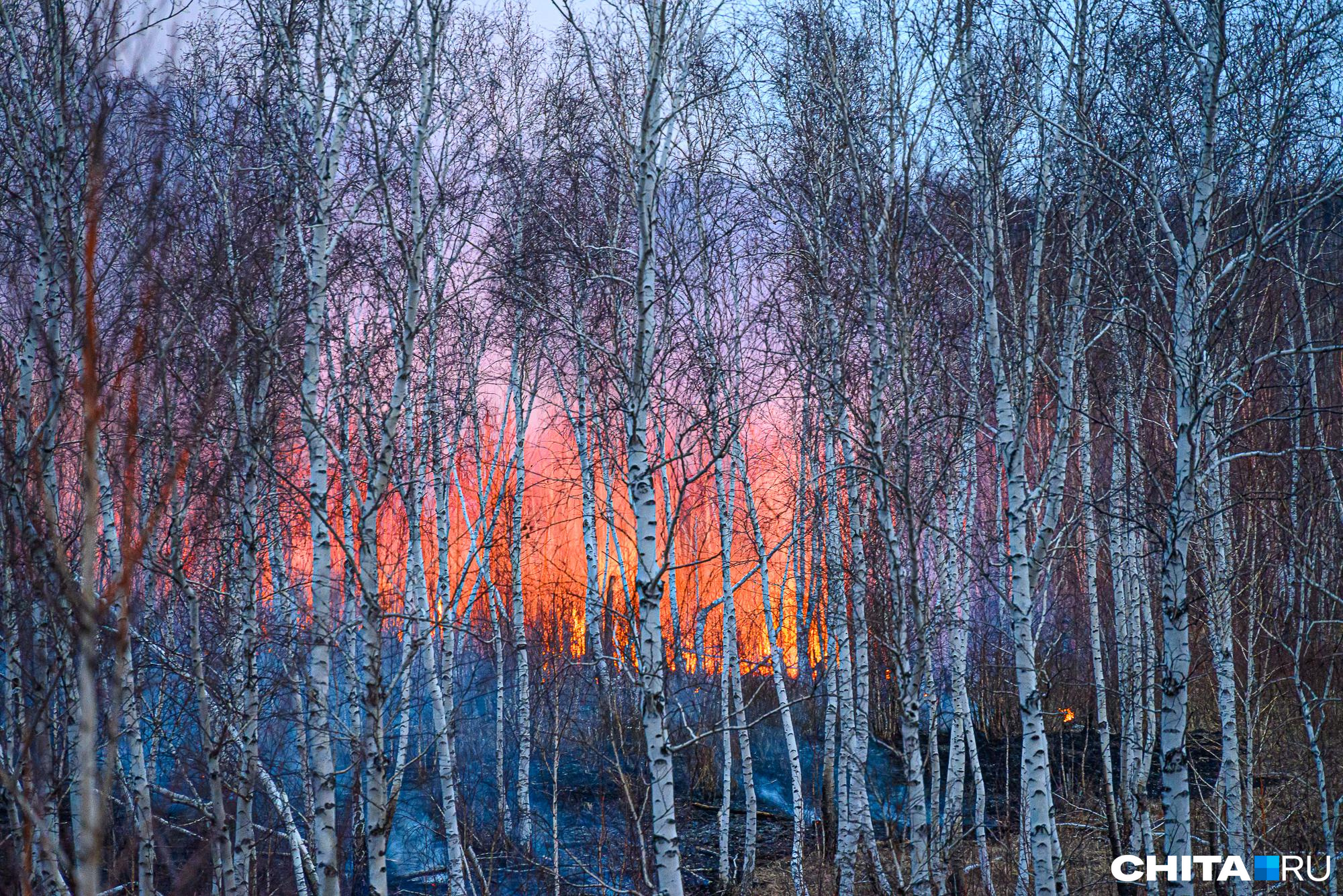 Забайкалье лидирует в России по числу лесных пожаров