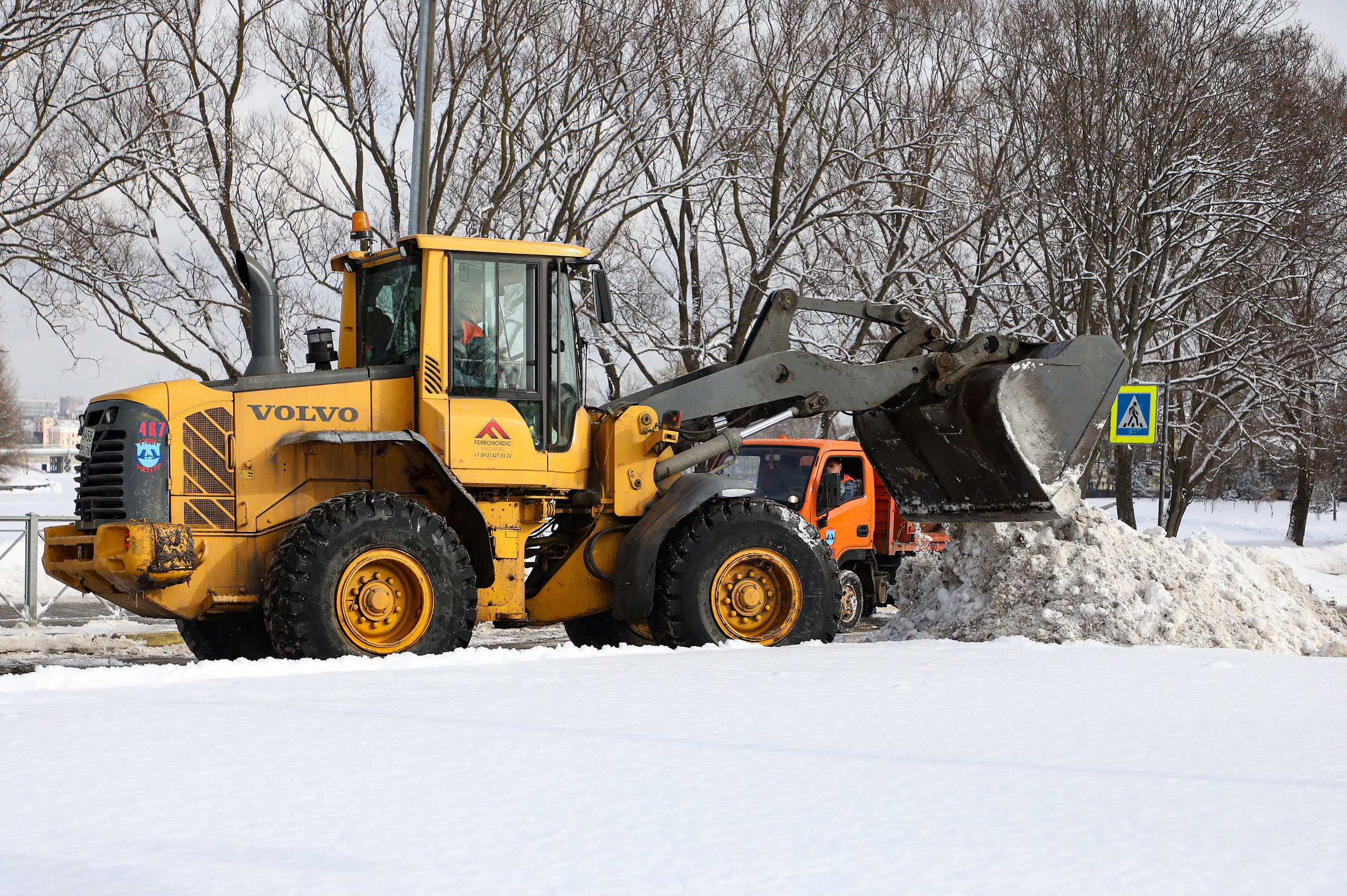 С начала зимы в Петербурге выпало более 155 см снега