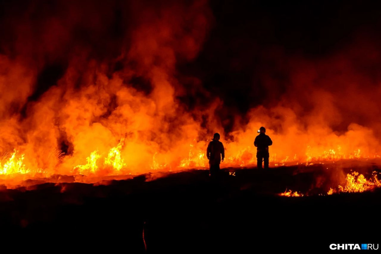 Полсотни гектаров леса сгорело в Забайкалье за год