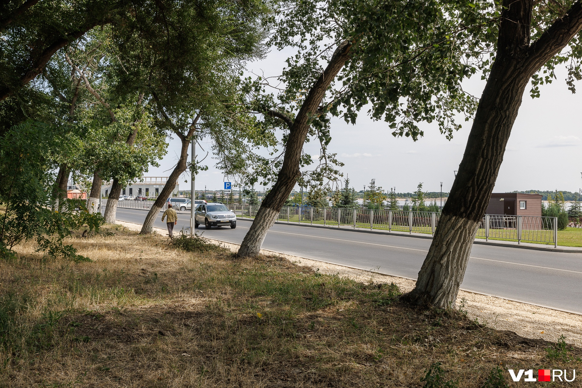 В Волгограде строят тротуар на Нулевой Продольной - 26 июля 2023 - v1.ru