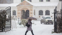 «Наступит метеорологическая зима!»: синоптики предупредили об изменении погоды в Ярославле