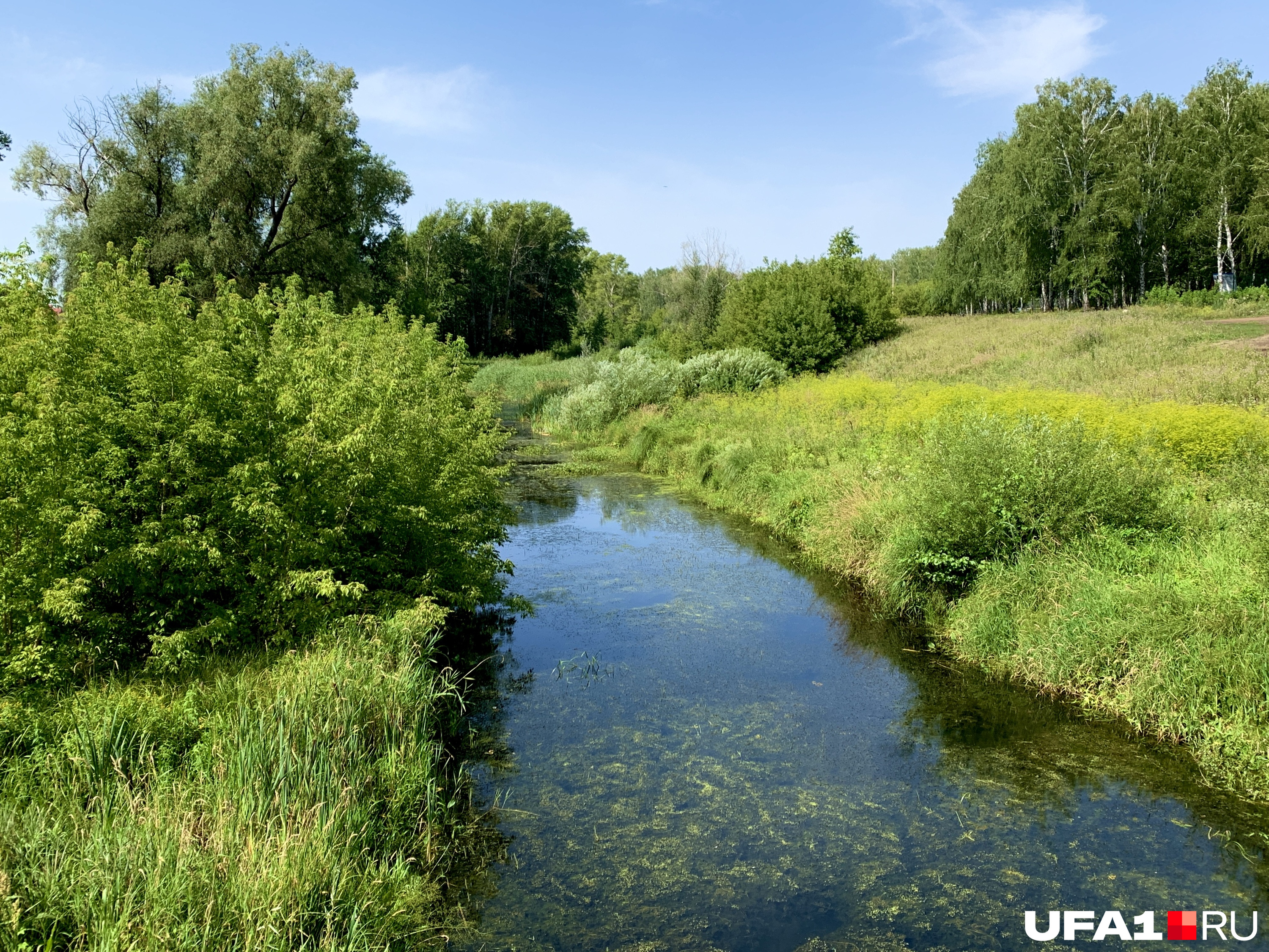 Смотря на нее, даже как-то перехотелось освежиться в водоеме