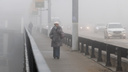 Мерзкие скачки температур: смотрим погоду в Волгограде на ближайшую неделю
