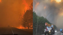 «Огненный апокалипсис»: новосибирцы сняли на видео лесной пожар на трассе — кадры с огнем