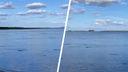 «Точное количество невозможно подсчитать»: из Обского моря на берег выбрасывается рыба