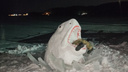 Сибирские «Челюсти»: на берегу Бердского залива сделали снежную акулу — изо рта торчат ноги