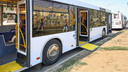 В Самару на маршруты выпустили новые автобусы: видео