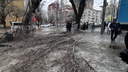 По всему городу падают деревья и провода: фото и видео последствий ледяного дождя в Ростове