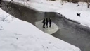 В Челябинской области школьники проплыли на льдине по реке Ай (видео)
