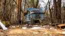 Домушки на деревьях и дырявые заборы: как живет улица Ярославля, которая будто пережила катаклизмы
