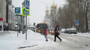 В Архангельске ожидается ледяной дождь и сильный снегопад: могут быть проблемы с электросетями